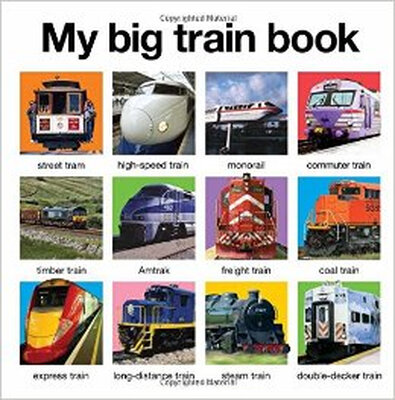 

My Big Train Book