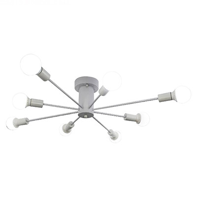 

LED Ceiling lamp ZM1711-1021