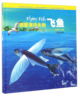 

我爱海洋生物 飞鱼