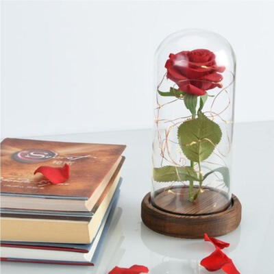 

Enchanted Rose Flower Lamp Best Valentines Gift Beauty&The Best Beauty