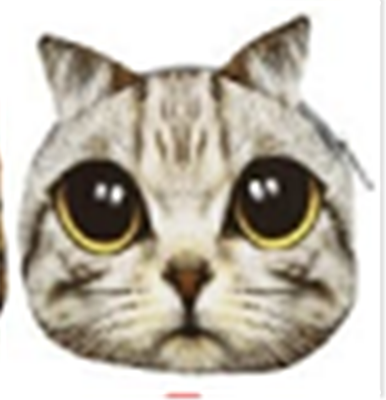 

Pouch Bag New Cute Women Shoulder Bag Cat Face Cartoon Print Zipper Closure Messenger Clutch Coin Purse Bag Phone Bag B7W4F4L2