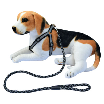 

JAYSON Dog Lead Dog Leash