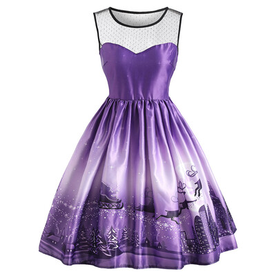 

Christmas Sled Mesh Panel Vintage Dress