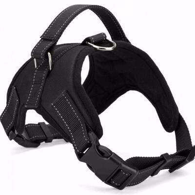 

Dog Harness Leash Set Heavy Duty Denim Dog Leash Collar