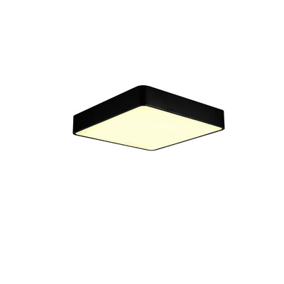 

JX759 - 24W - WW Warm White Ceiling Lamp AC 220V