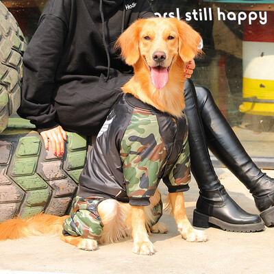 

Huayuan favor hoopet dog thick cotton coat large dog Husky gold hair dog four feet black