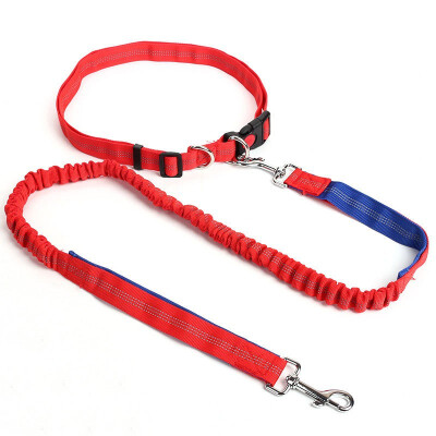 

Hands Free Dog Leash for Running Walking Hiking