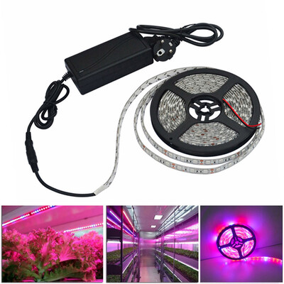 

LED Grow Lights Growing LED light Strip 5050 IP65 Plant Growth Light for Greenhouse Hydroponic plant 5mlot AC100-240V