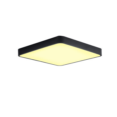 

JX231 - 24W - WJ Promise Dimming Ceiling Lamp AC 220V