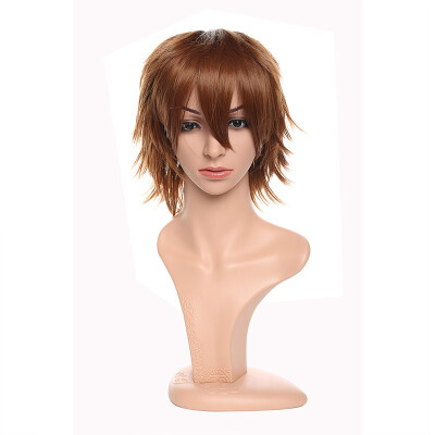 

Short Cosplay Wig Women Men Fluffy Straight Anime Comic Hairstyle Party Costume Dress Synthetic Hair Pixie Wigs