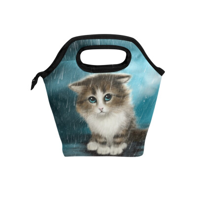 

Insulated Lunch Tote Bag Cute Cat Travel Picnic Lunch Handbags Portable Zipper Lunch Bag Box