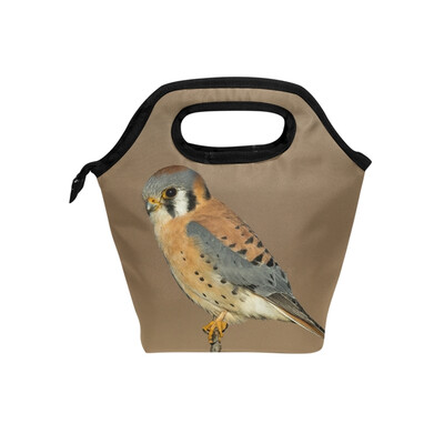 

Insulated Lunch Tote Bag American Kestrel Travel Picnic Lunch Handbags Portable Zipper Lunch Bag Box