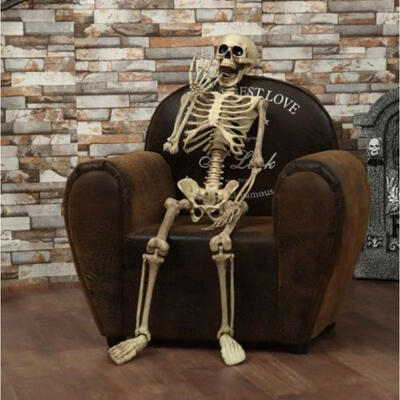 

Halloween Prop Human Skeleton Full Size Skull Hand Life Body Anatomy Model Decor