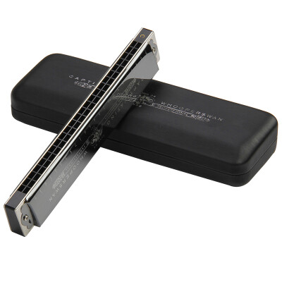 

Jingdong Supermarket] Swan SWAN 24 hole polyphony sound harmonica C tone silver (wide box