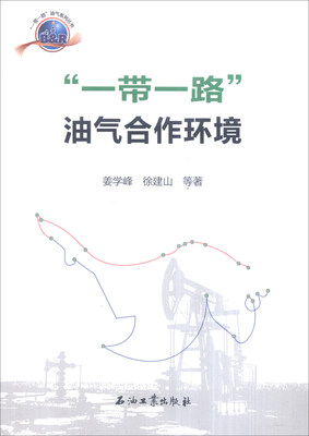 

“一带一路”油气系列丛书：“一带一路”油气合作环境