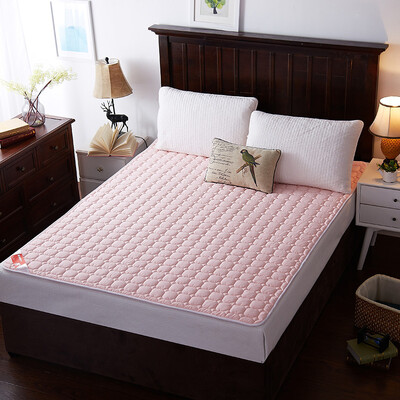 

Арктическая ваза татами моющийся складной матрац однодисковый студент общежитие матовый матовый розовый 180 * 200 см