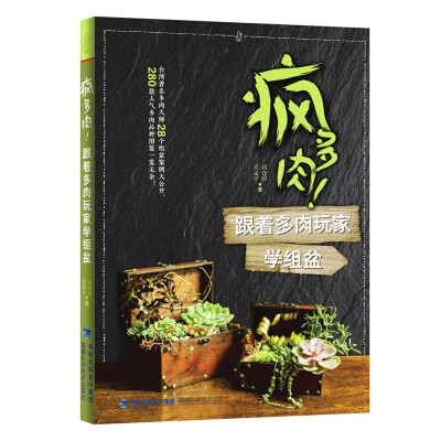 

疯多肉！跟着多肉玩家学组盆