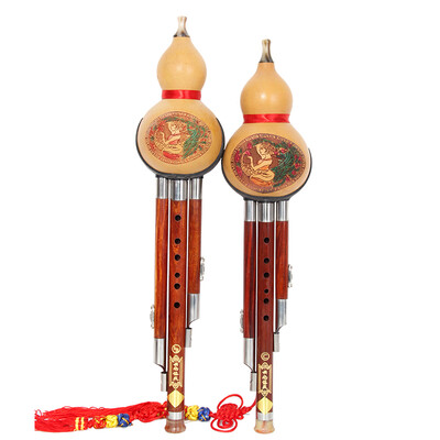 

Jingdong supermarket] Dai Ling natural gourd Zizhu rod two tone Hulusi C tune 836
