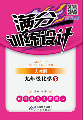 

2017春 满分训练设计：九年级化学下（人教版）
