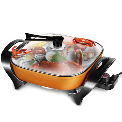 

Chigo (CHIGO) electric hot pot 5L Korean electric pot mandarin duck pot electric cooker ZG-H11 gold