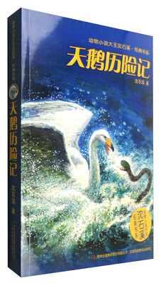 

天鹅历险记