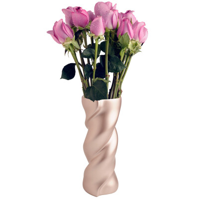 

Ou Suo (oasso) creative high-end home heart-shaped dance vase decorated ornaments birthday gifts wedding gifts to send his girlfriend to send love R-1102 pearl color