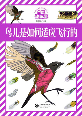 

鸟儿是如何适应飞行的