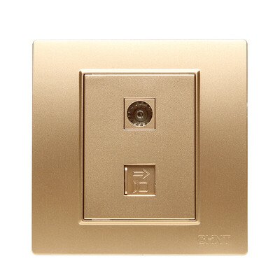 

Zhengtai CHNT socket panel switch socket computer TV socket champagne gold 7L series NEW7-L21202
