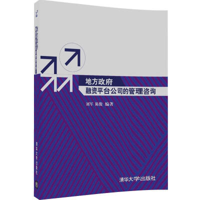 

地方政府融资平台公司的管理咨询