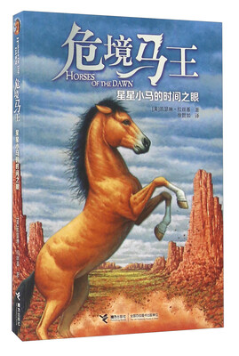 

危境马王 星星小马的时间之眼