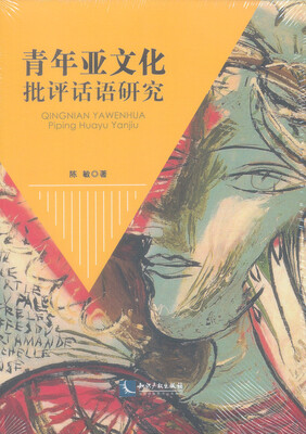 

青年亚文化批评话语研究