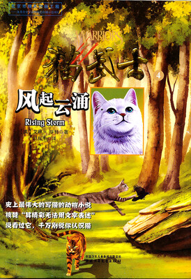 

猫武士4-风起云涌