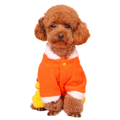 

Hoopet) small dog dog four feet fitted Teddy Bomei autumn and winter puppies transfiguration yellow