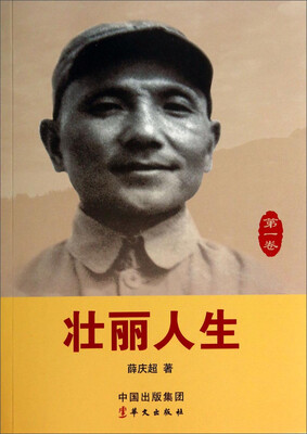 

壮丽人生（第1卷）