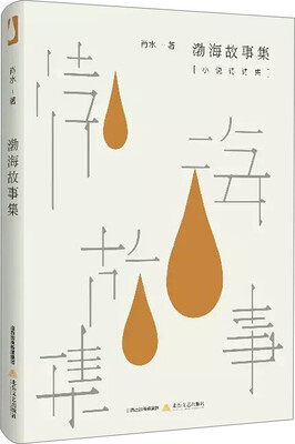 

小说诗诗集：渤海故事集