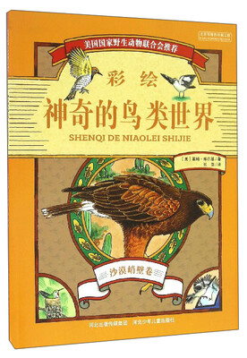 

神奇的鸟类世界（沙漠峭壁卷彩绘）