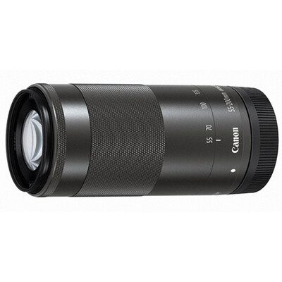 

Canon Canon EF- 55-200mm f 45-63 IS STM lens