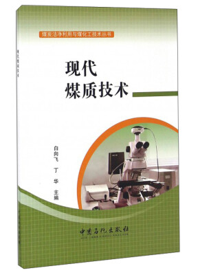 

煤炭洁净利用与煤化工技术丛书：现代煤质技术