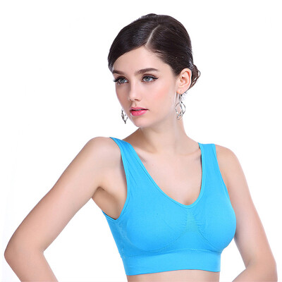 

Arctic cashmere sports bra no steel ring sexy comfortable underwear sports vest blue