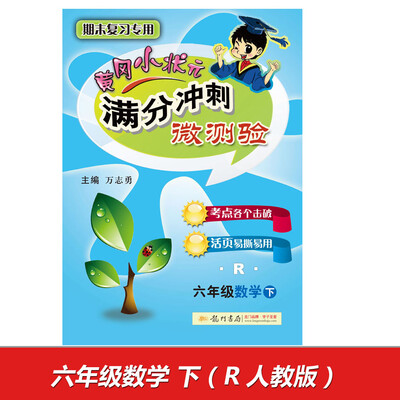 

2017春满分冲刺微测验六年级数学下R人教版
