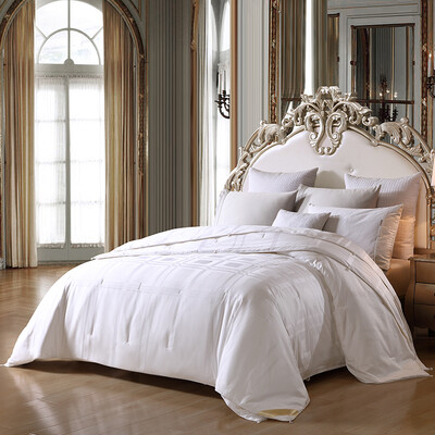 

Meng Jie home textiles produced MAISON by the core of the mother was silk Yang jacquard silk MIX mother was four seasons quilt 15 m bed 200 230cm