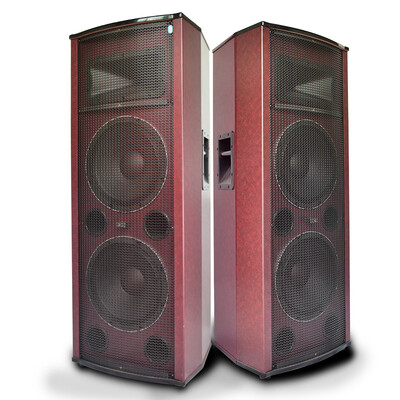 

Double Connaught SA6502 12-inch professional stage sound high-power outdoor square dance audio conference Bluetooth speaker floor type box