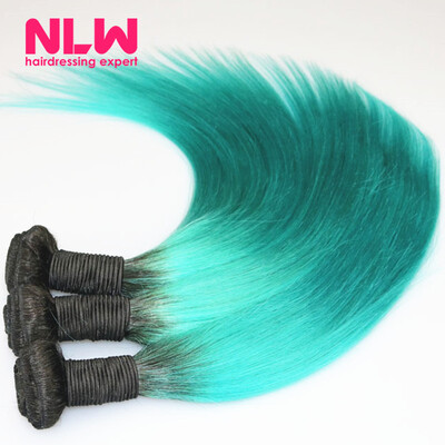 

N.L.W. 10A Brazilian virgin human hair 3 bundles Silk straight hair extensions Ombre T1B/Green Hair color