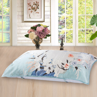 

Taihu Lake snow bed home textiles silk pillow pillow 100 silkworm silk single pillow pillow single installed lakeside spring 48 74cm