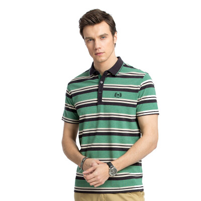 

Camel (CAMEL) men's summer short-sleeved lapel embroidered standard business casual micro-stripe T-shirt X7B224136 green