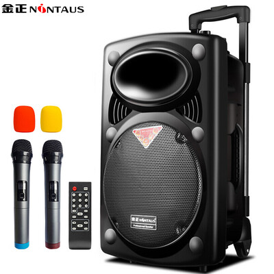 

Jinzheng NINTAUS N16 double 5 inch square dance audio Bluetooth outdoor lever speaker portable microphone