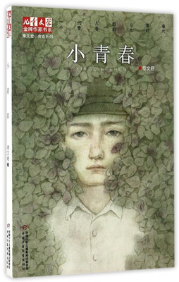 

小青春/秦文君小青春系列/儿童文学金牌作家书系