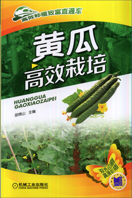 

高效种植致富直通车黄瓜高效栽培