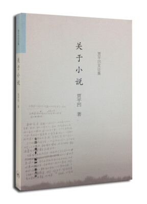 

关于小说