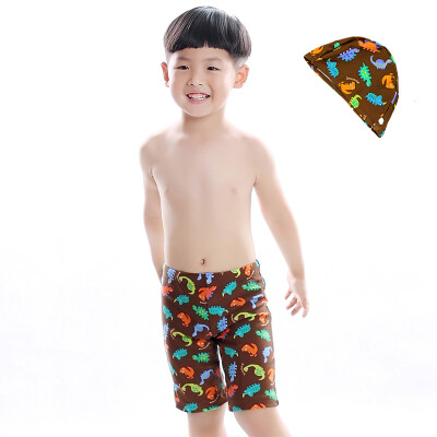 

EZI Boy's Swimming Trunks Cute Animal Dinosaur Swim Boxer Shorts